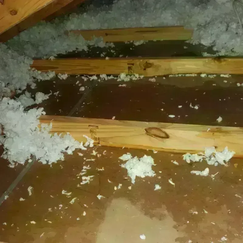 Attic Water Damage in Logansport, IN