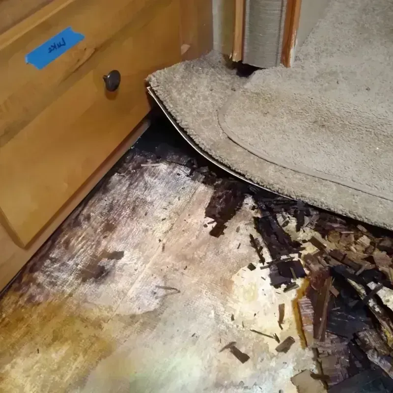 Best Wood Floor Water Damage Service in Logansport, IN